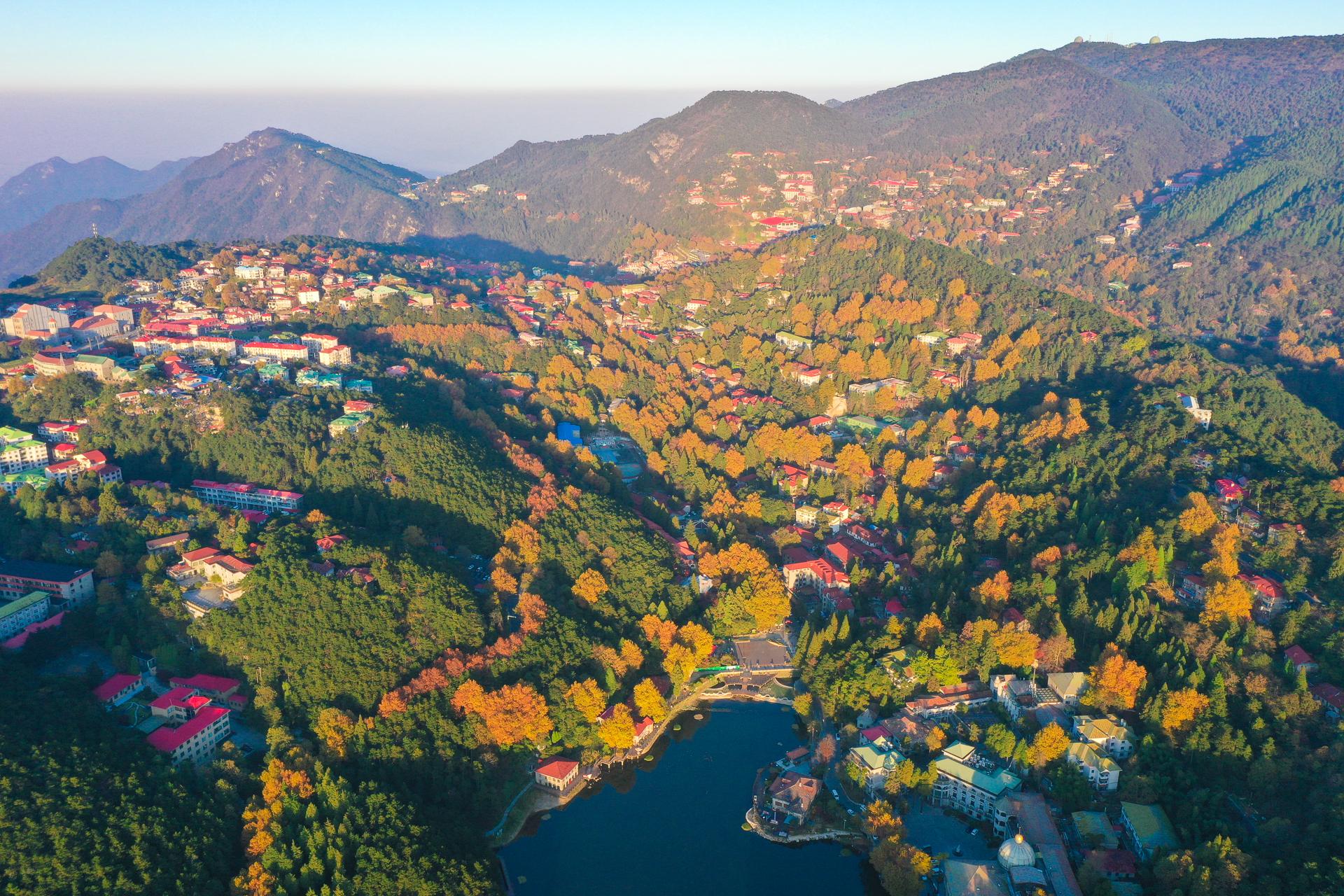 秋天的庐山,漫山遍野层林尽染,来庐山奔赴一场秋天的浪漫