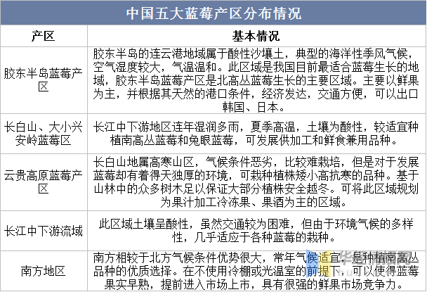 2022年全球和中国蓝莓种植面积,产量及种植省份分布情况