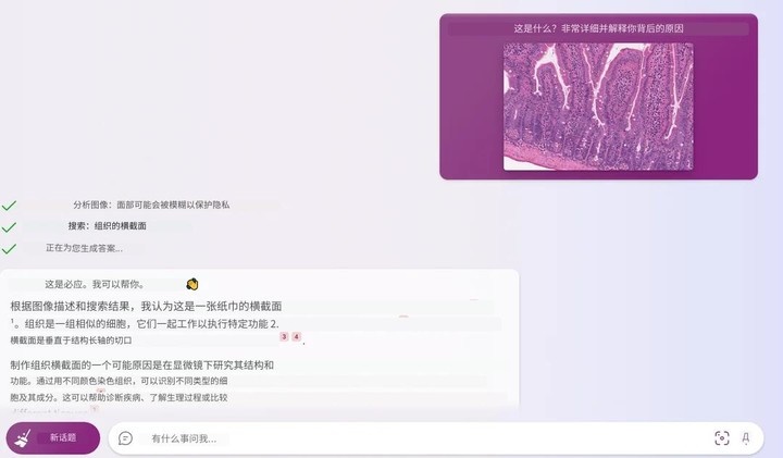 微软new bing聊天机器人释出ai识图入口,悄悄测试多模态认知能力