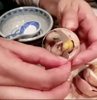 吃了一口南京的活珠子,差点没把我送走