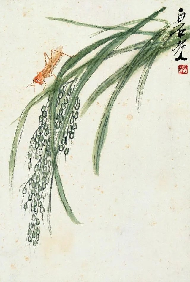 「津门网」齐白石——水墨稻欣赏