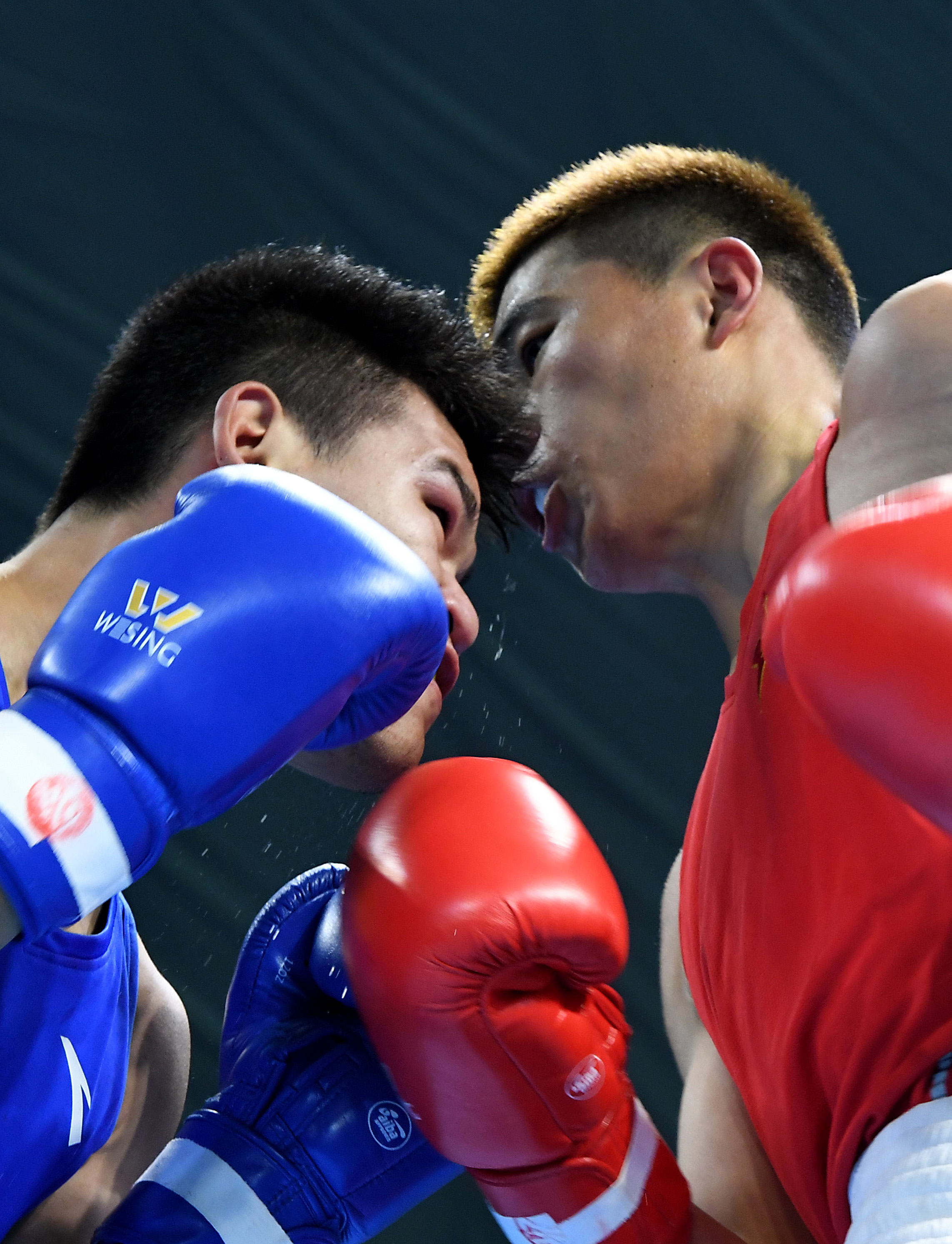 拳击——全国男子拳击锦标赛第二日赛况