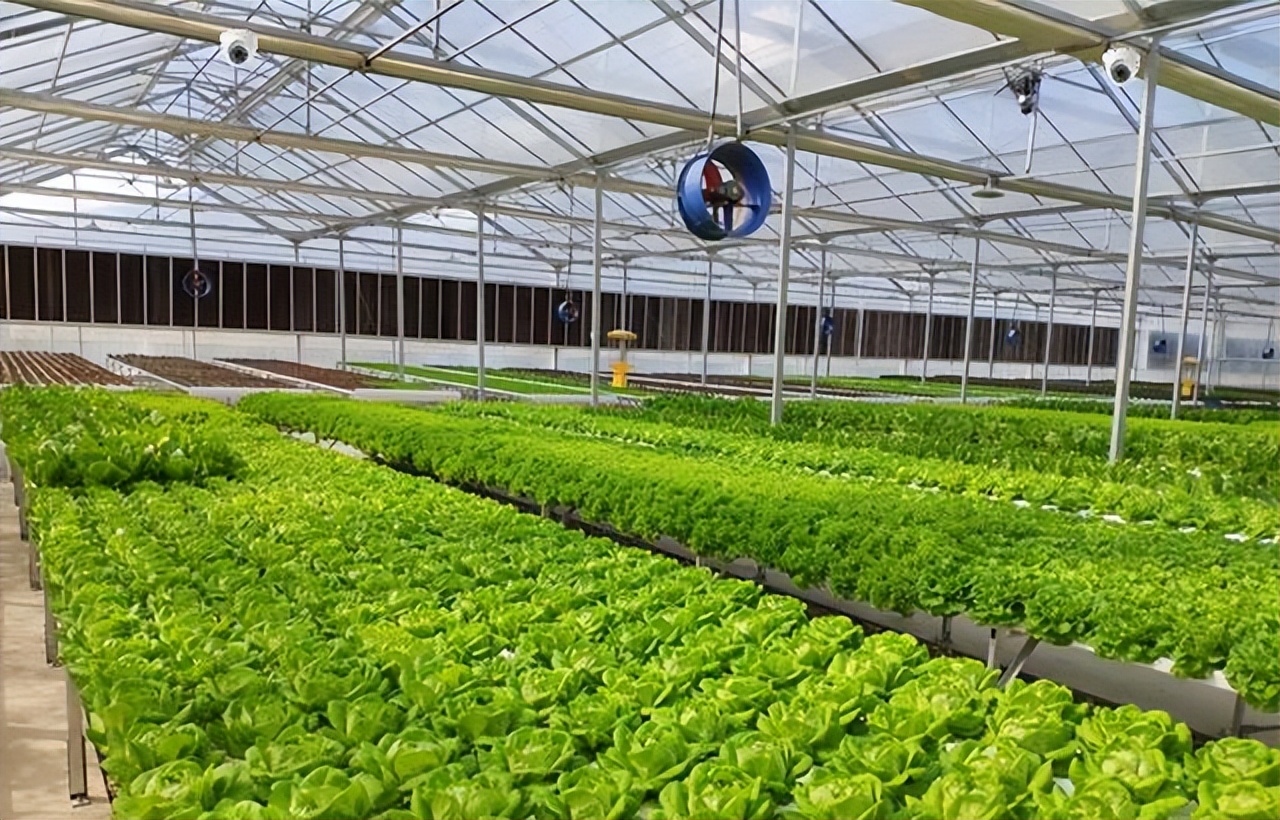 北京耕智农业智慧大棚精细化管理,增产增收