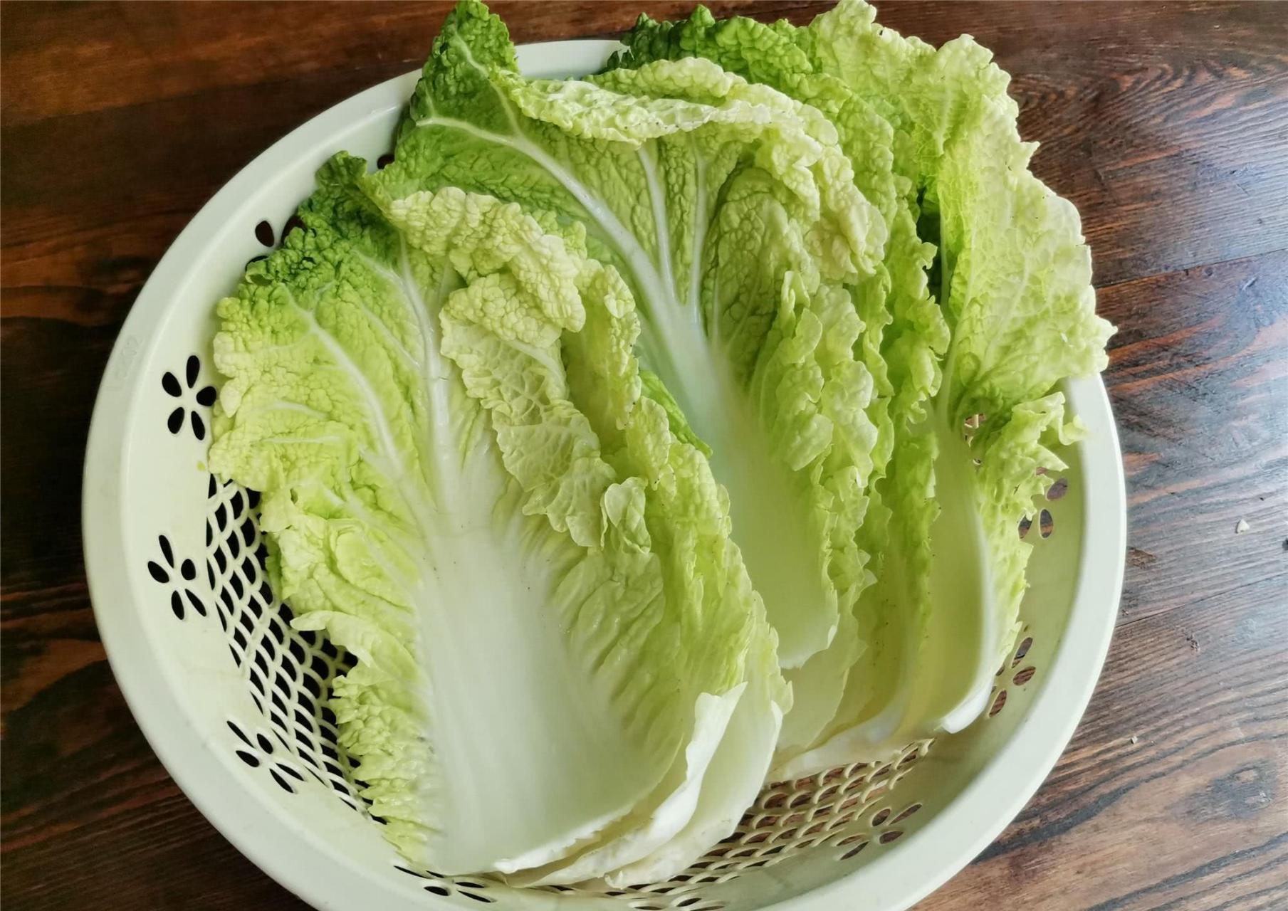 掌握好这些方法,可以更好地享受白菜的