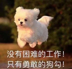 乐在其中!你不知道的南大交响人