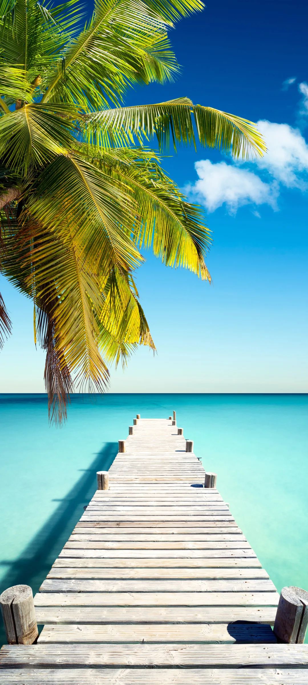 8月2日壁纸美图-ai丝袜妹妹