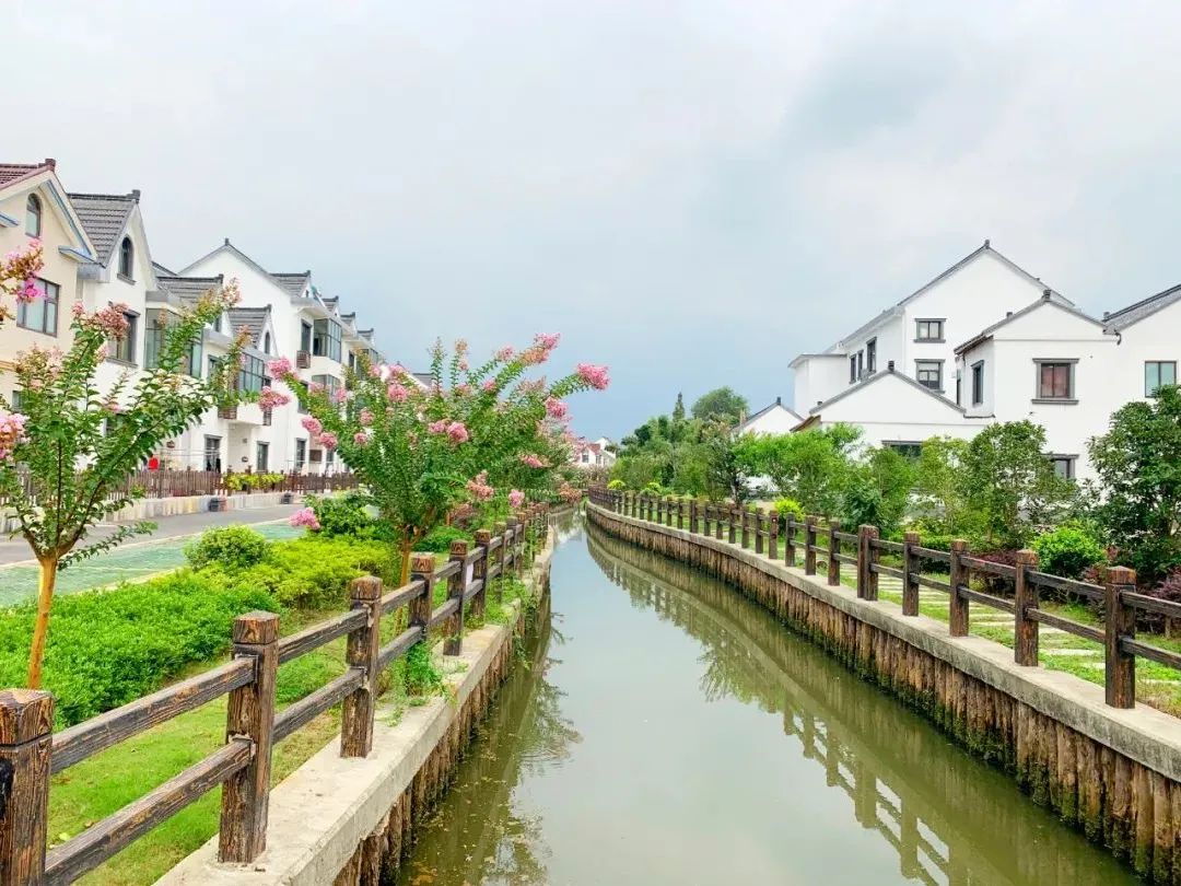 给力!金山这个村入选第三批全国乡村旅游重点村名单!