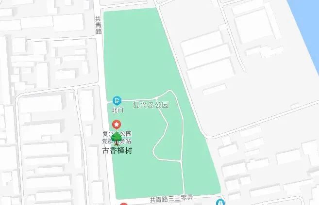 杨浦这座公园,有棵百年香樟树!