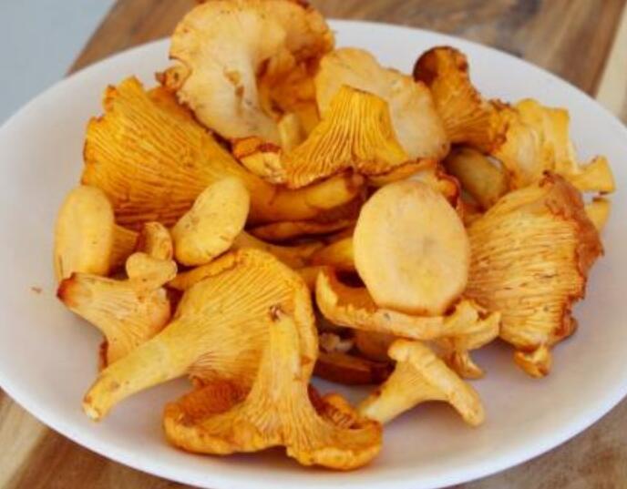 鸡油菌多少钱一斤