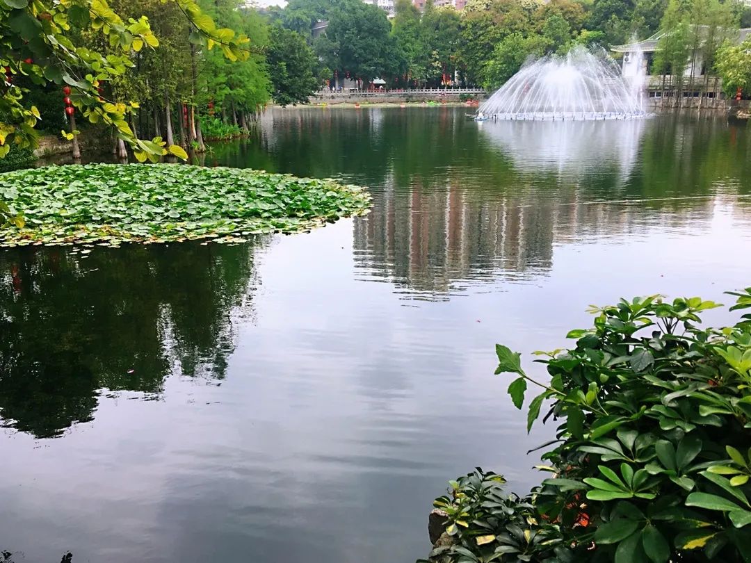 广州公园排行榜广州10大必玩公园