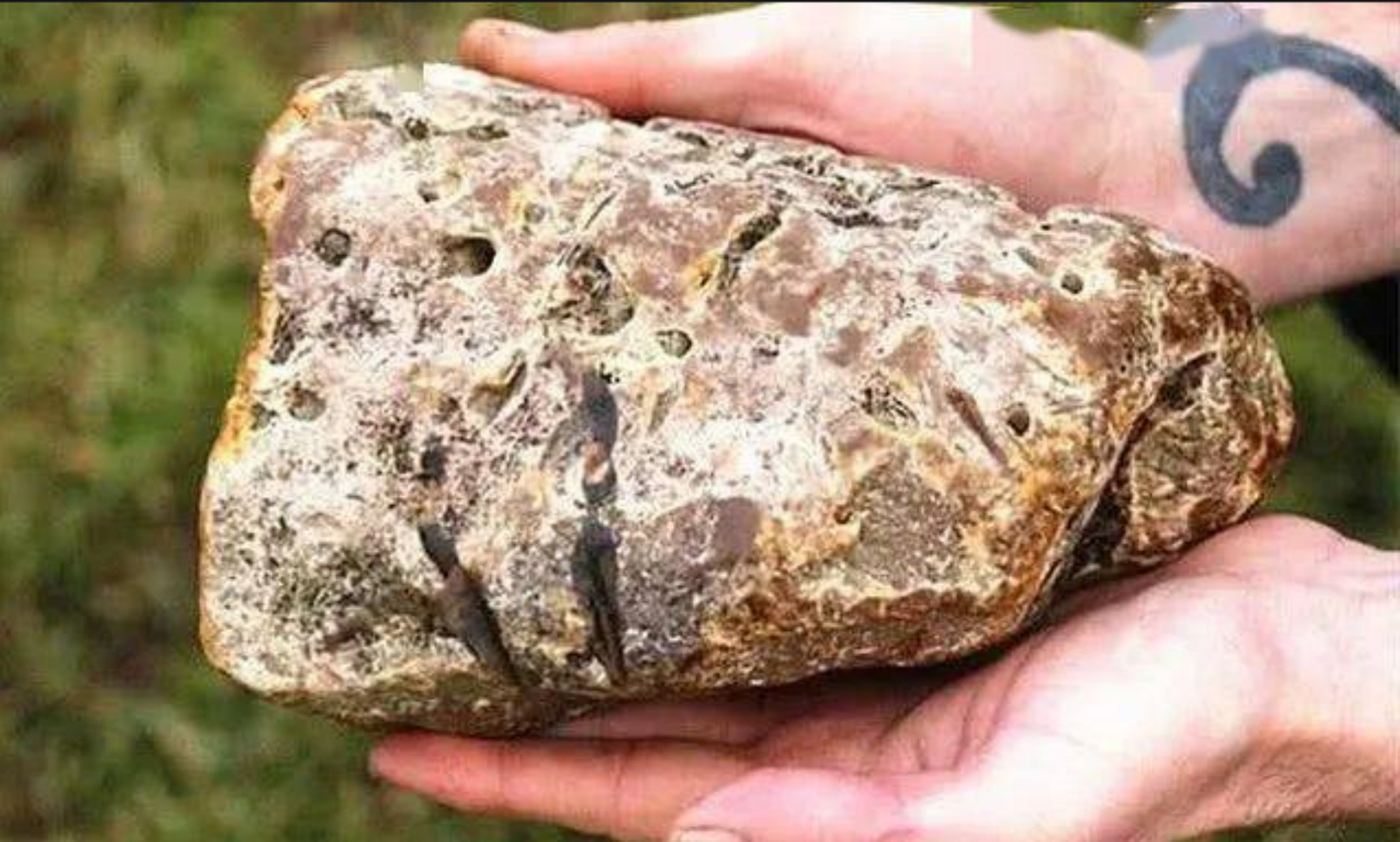 龙涎香,在西方又称灰琥珀,它的外表是阴灰色,或者黑色的,它的形态是固