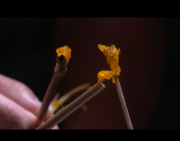 推荐邵阳农民家地板莫名发烫能烤熟鸡蛋，有人怀疑是火山口，原因不明