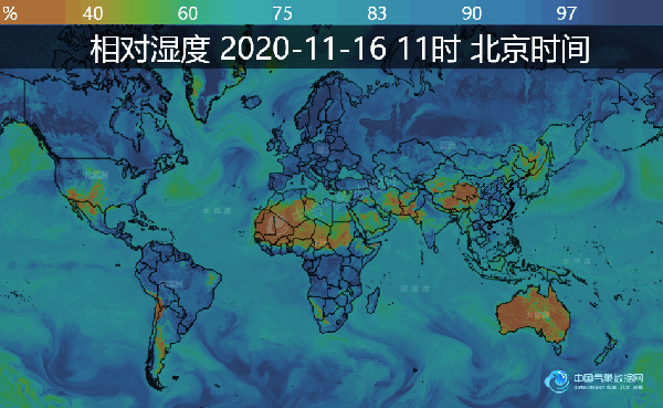 新浪新冠疫情动态地图(新浪 新冠肺炎疫情实时动态)