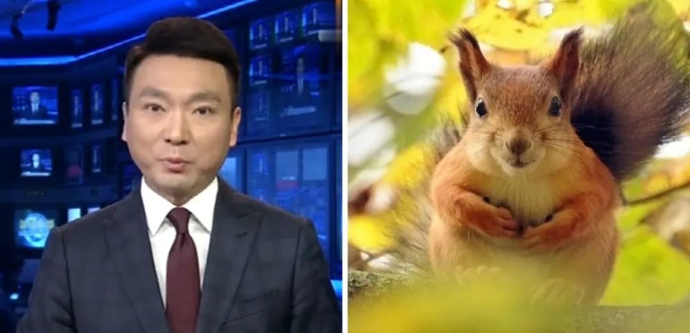 笑不活,潘粤明为《南海归墟》减重30斤!我却笑死在网友评论区里