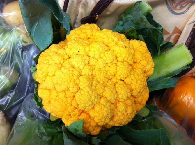 花菜 品种