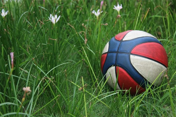 快收藏!成都市龙泉驿区东山国际小学校园风景大片火热出炉