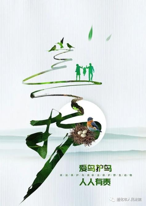 遵化法院提醒:非法捕鸟入牢笼,莫因小利落法网