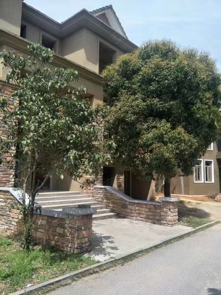 长沙市法拍房独栋别墅房源 开福区青竹湖畔别墅法拍房