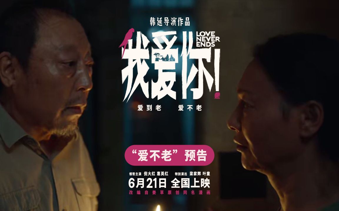 厦门浩亿:以文化自信为基底,连接世界与中国