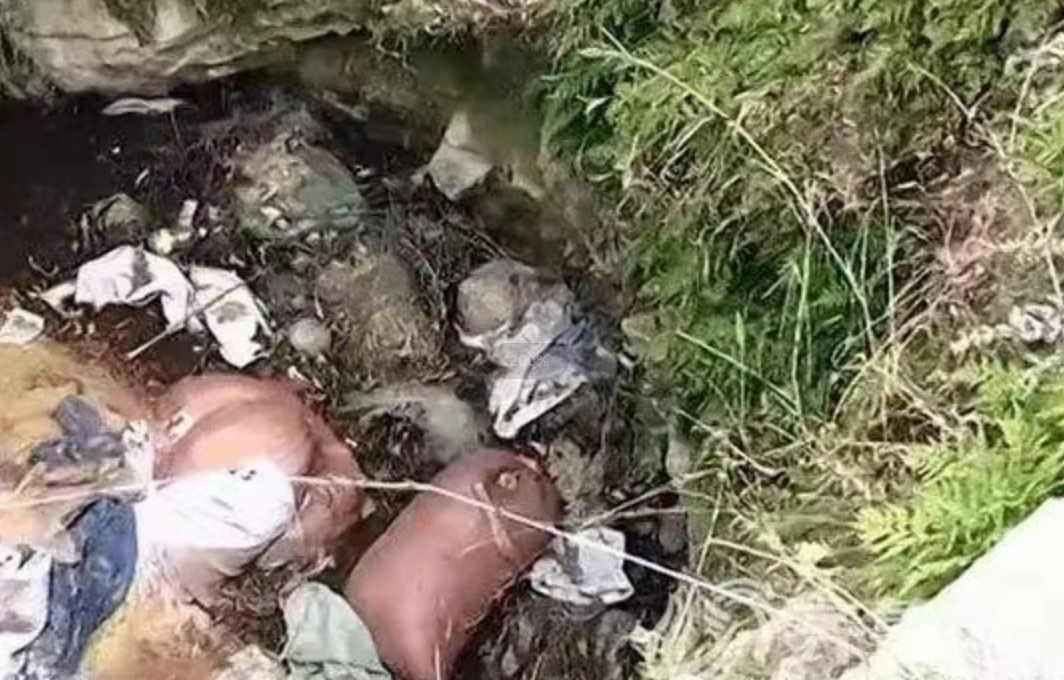 内蒙灭门案纪实出于好心收留罪犯亲戚一家5口惨遭灭门