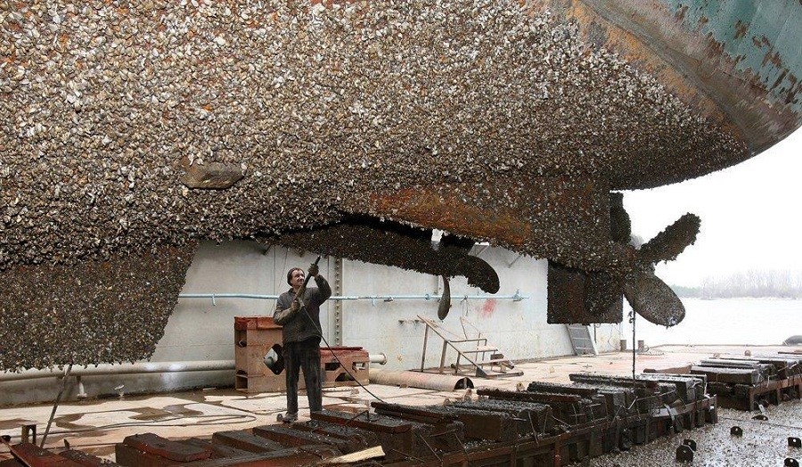 水兵的噩梦是清理航母船底?看看船底的"海鲜",或许就懂了