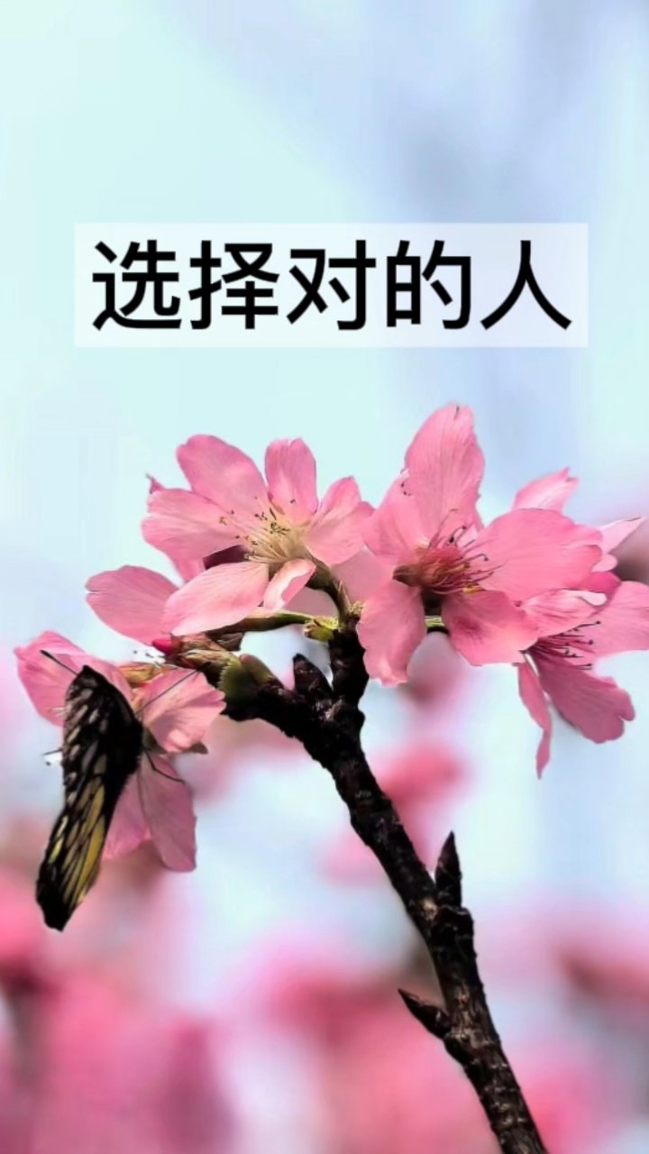 选择对的人