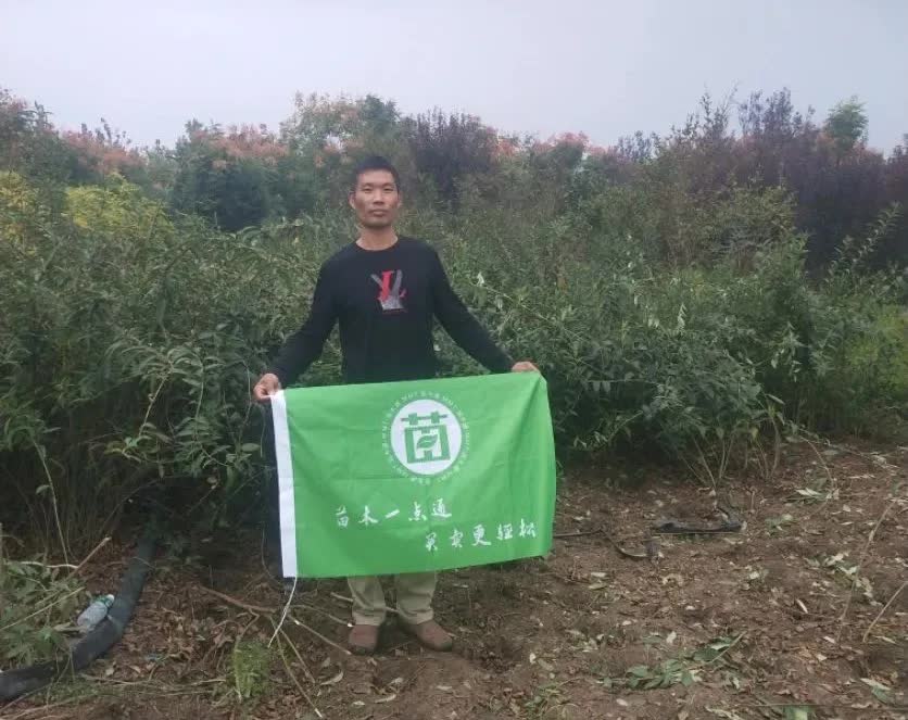 恭喜恩澤園林綠化有限公司入駐苗木通!江蘇仲偉大:開花灌木專供