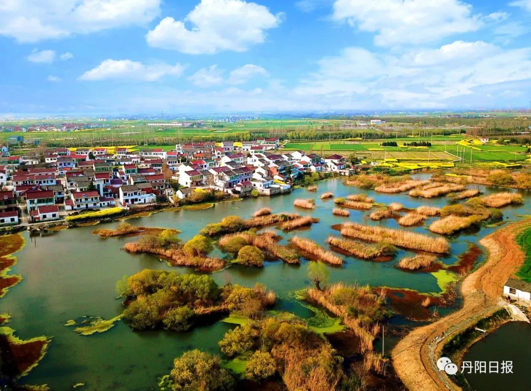 藏不住了!丹阳这些美景