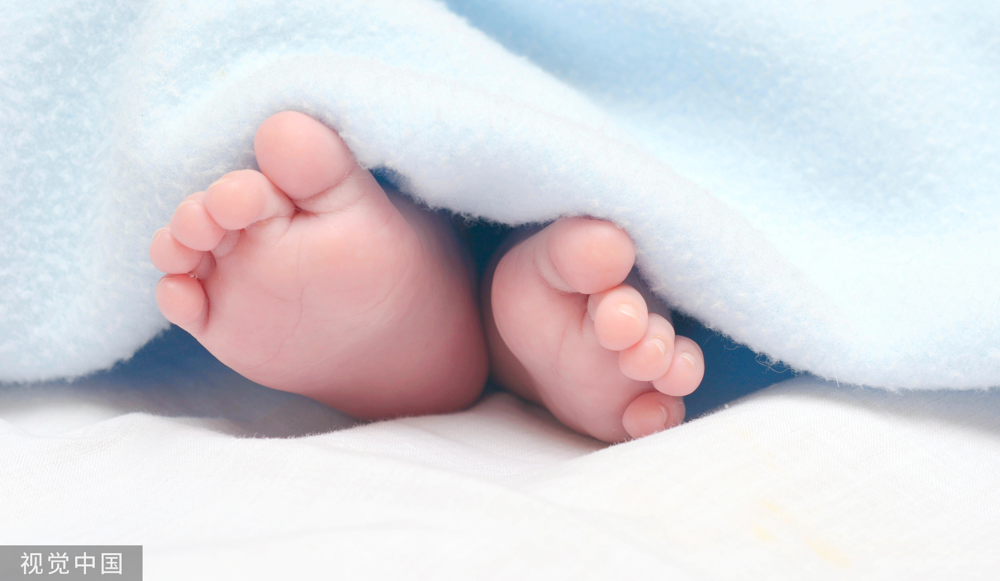 托幼一体化课程_托幼一体化的好处_幼儿园一孩难求