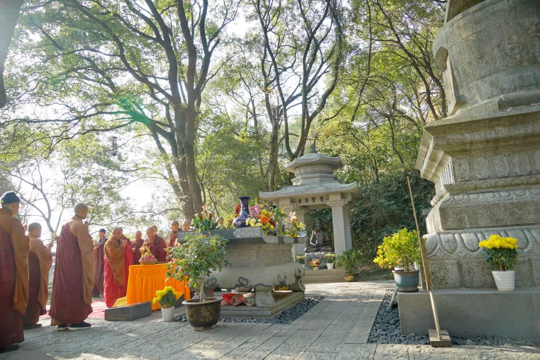 传统节日冬至,各大寺院祭塔礼祖
