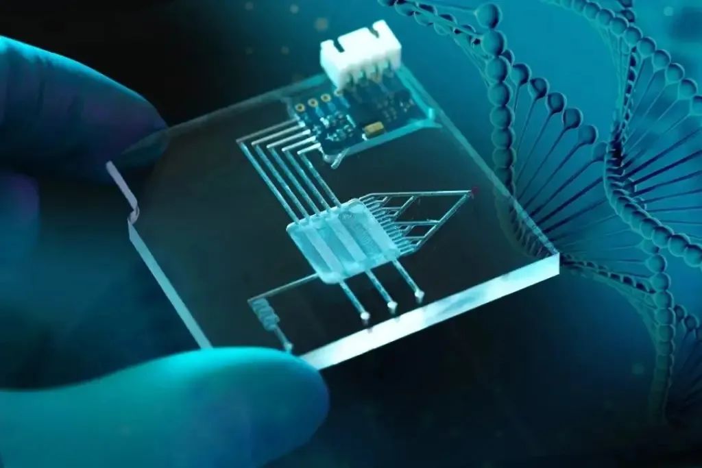 陈根:生物计算机,能为摩尔定律"续命"吗?