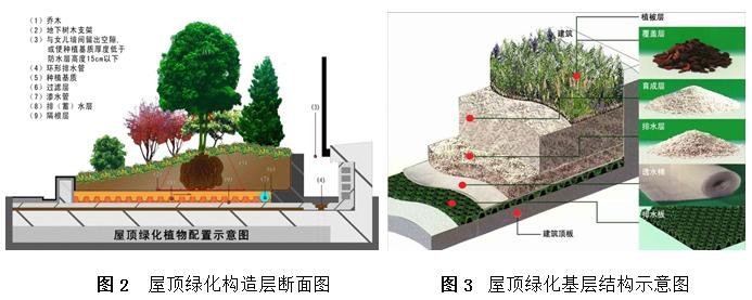 立体绿化 | 北京市红桥市场屋顶花园
