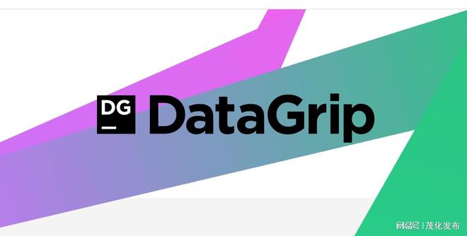 databus，DATABUS是什么电缆