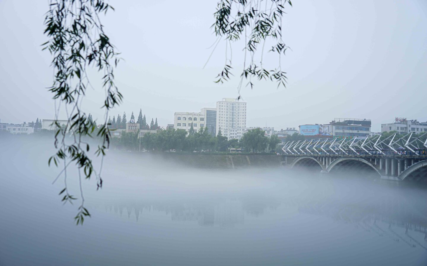 信阳浉河美景:飞越迷雾