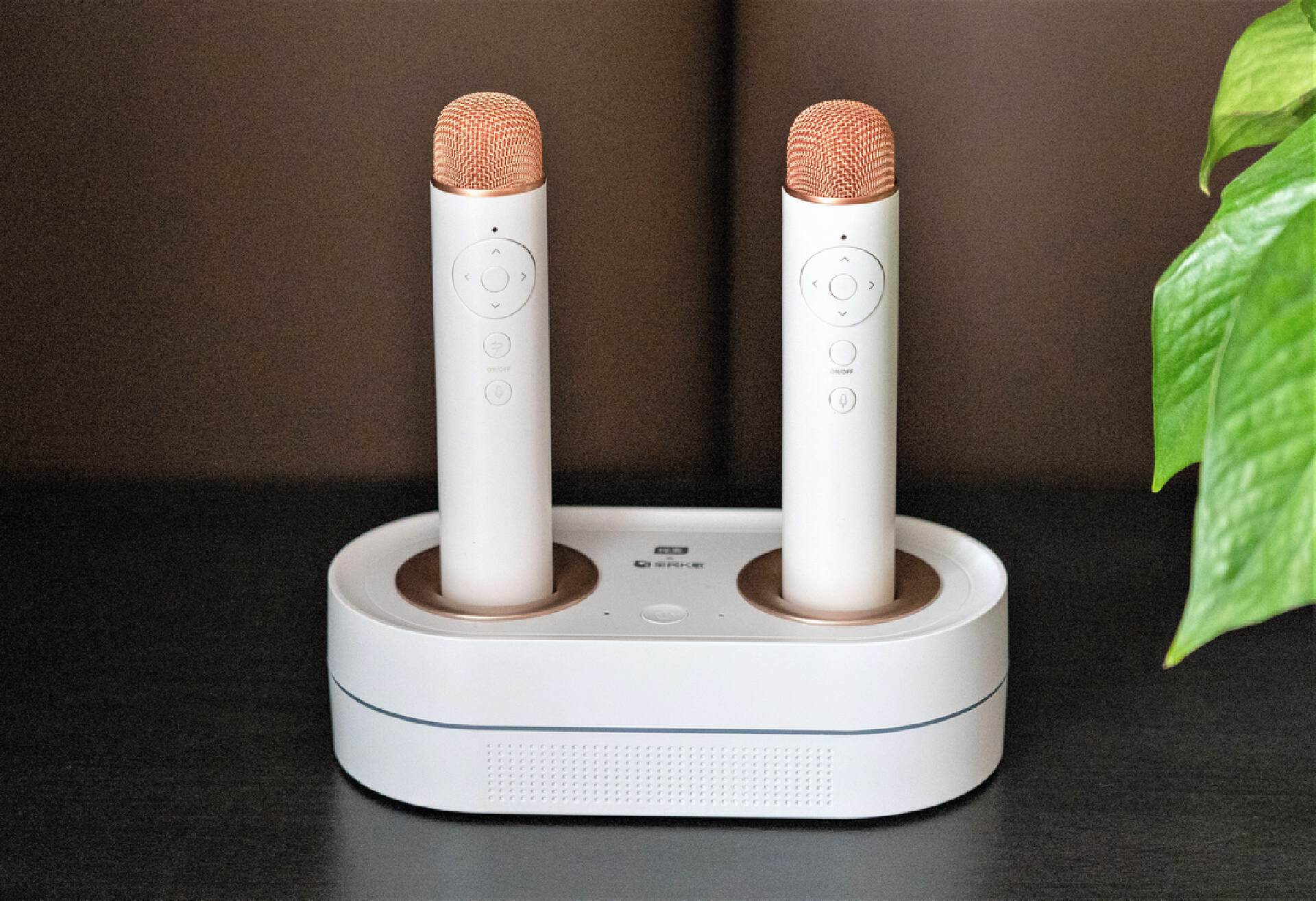 纯麦k2 se点唱机,专业点歌系统 语音交互,开启家庭ktv新体验