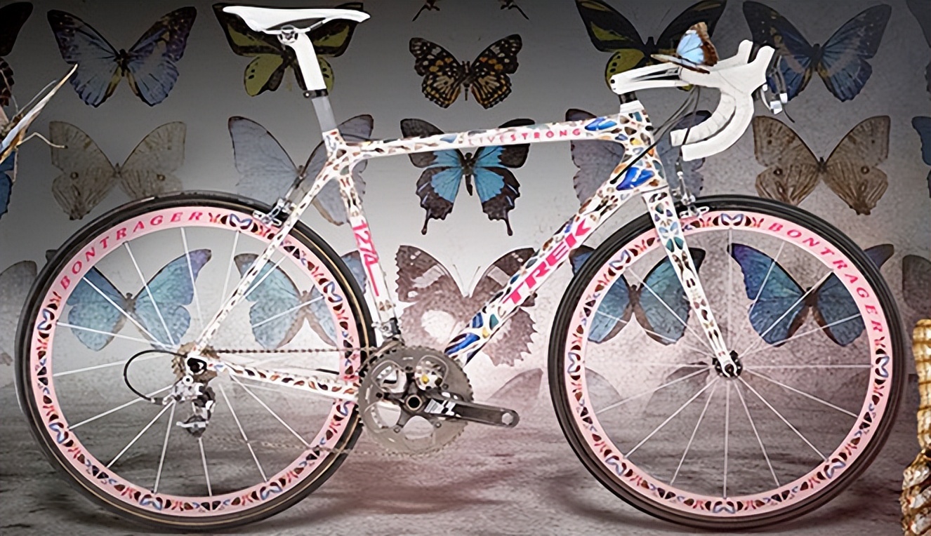 蝴蝶自行车2000万图片