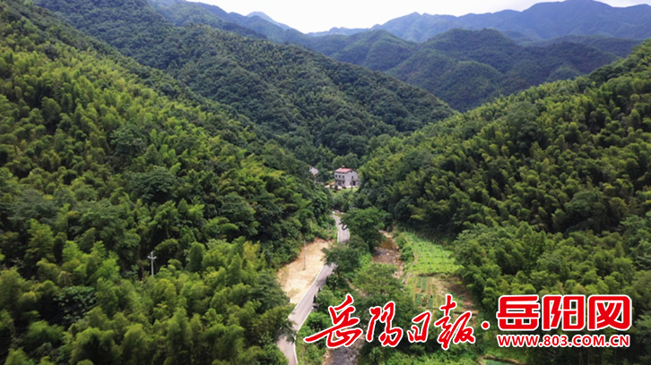 临湘市羊楼司镇龙窖山村"凉"资源变成"热"产业