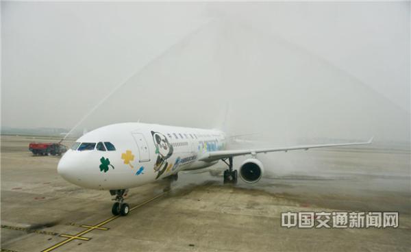 南航"进博号"彩绘飞机首航