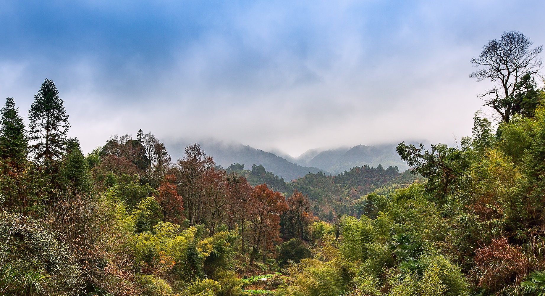 风景图片 农村山上图片