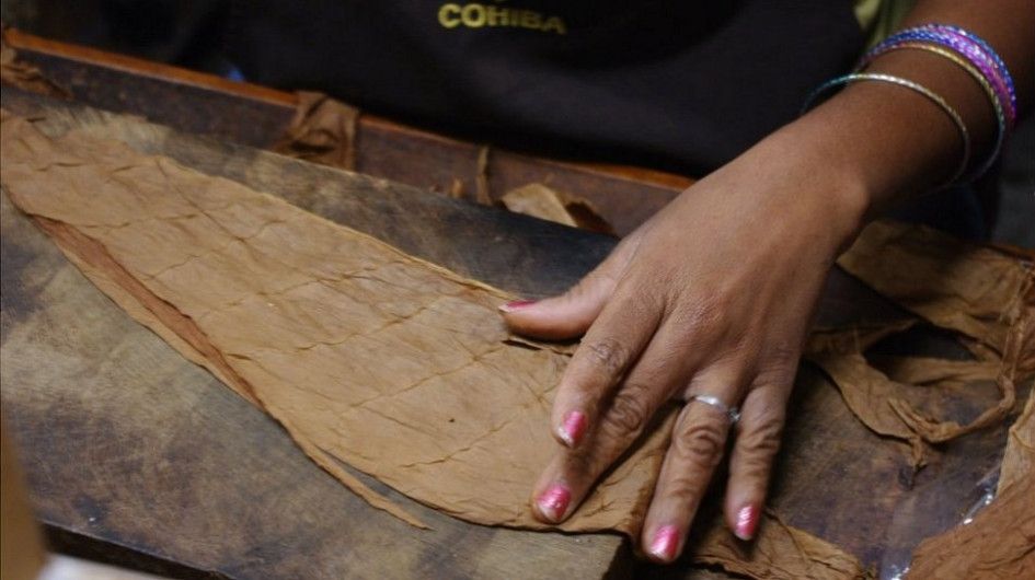 古巴雪茄|纯天然烟草制作而成|手工制作