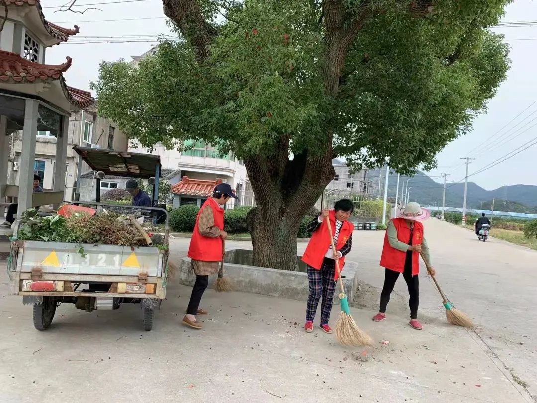 美丽庭院 美美与共 走进象山鹤浦镇小百丈村文旅百丈美丽庭院特色带