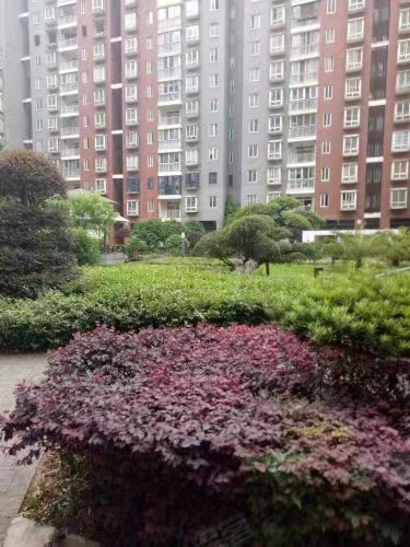 长沙县法拍房 长沙县陶然居小区法拍房最新消息