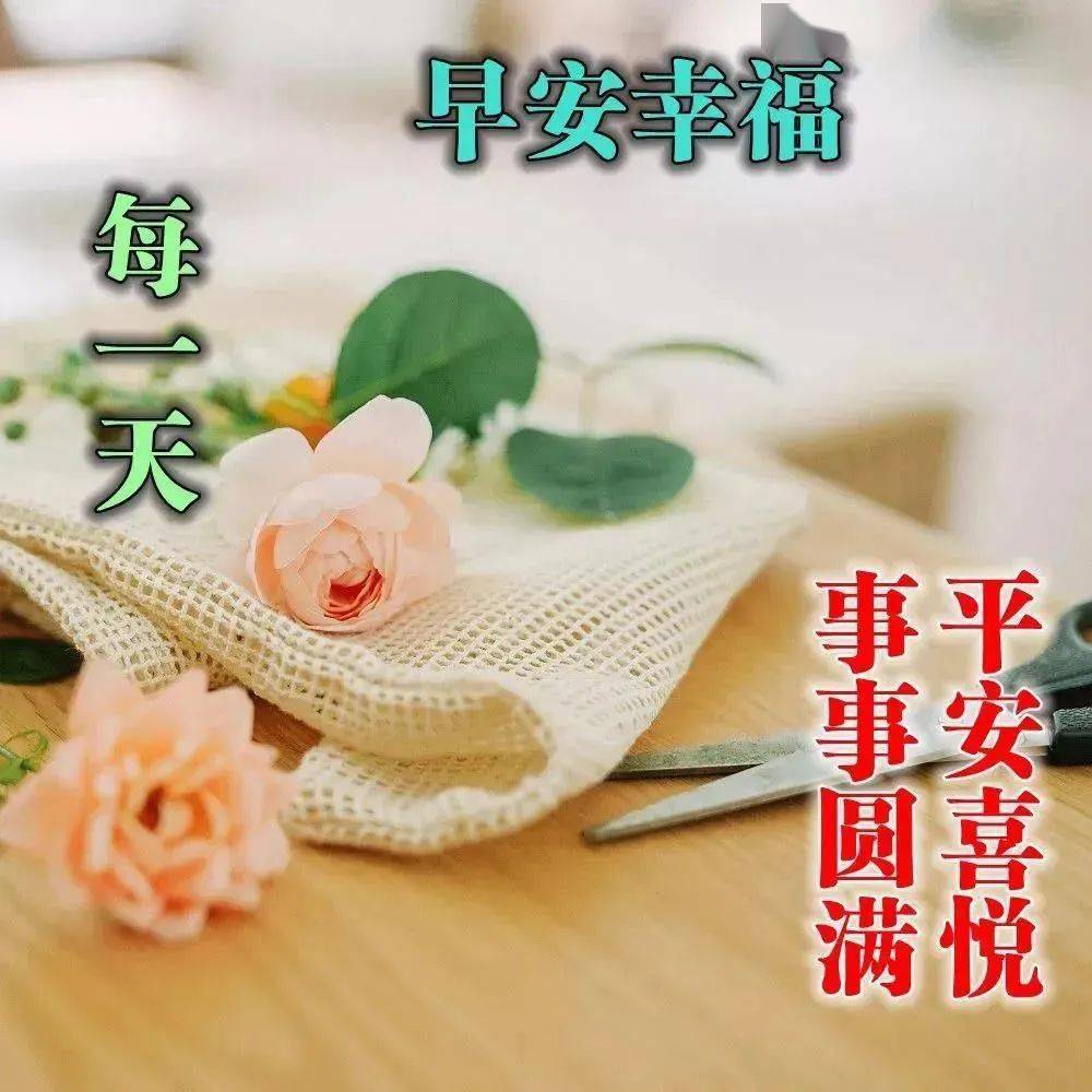 早安精致语录短句 句句暖人心窝 每日晨语清晨心语正能量