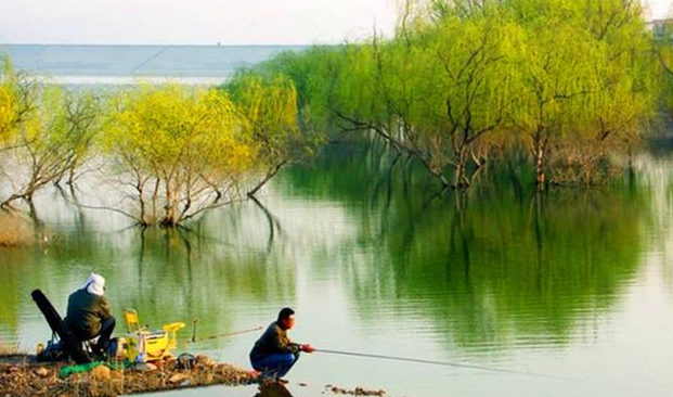 春钓滩,不是浅水就有鱼,要找这5种地形