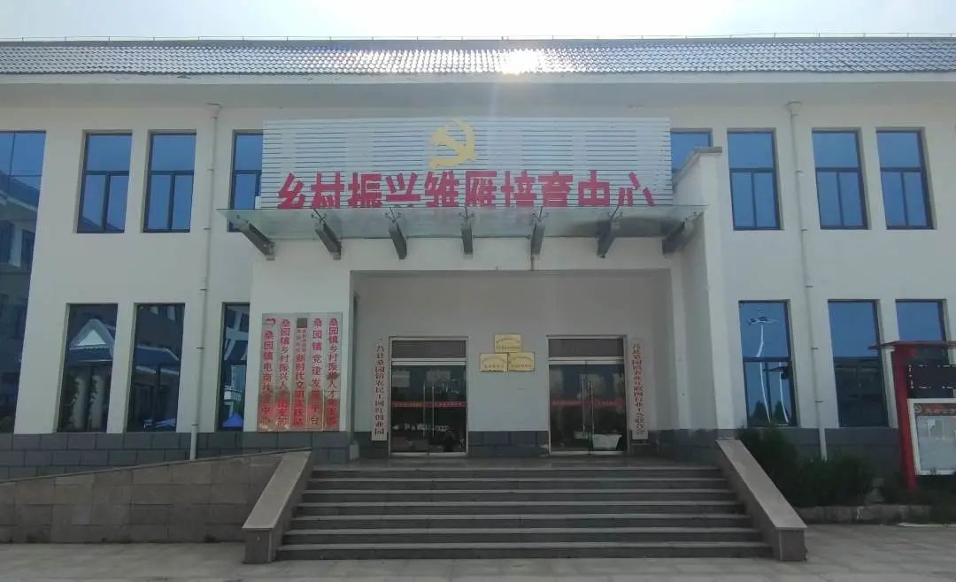 莒县桑园镇青工委"四个加法"赋能乡村好青年发展