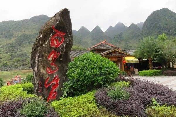 巴马王家 风湿骨痛