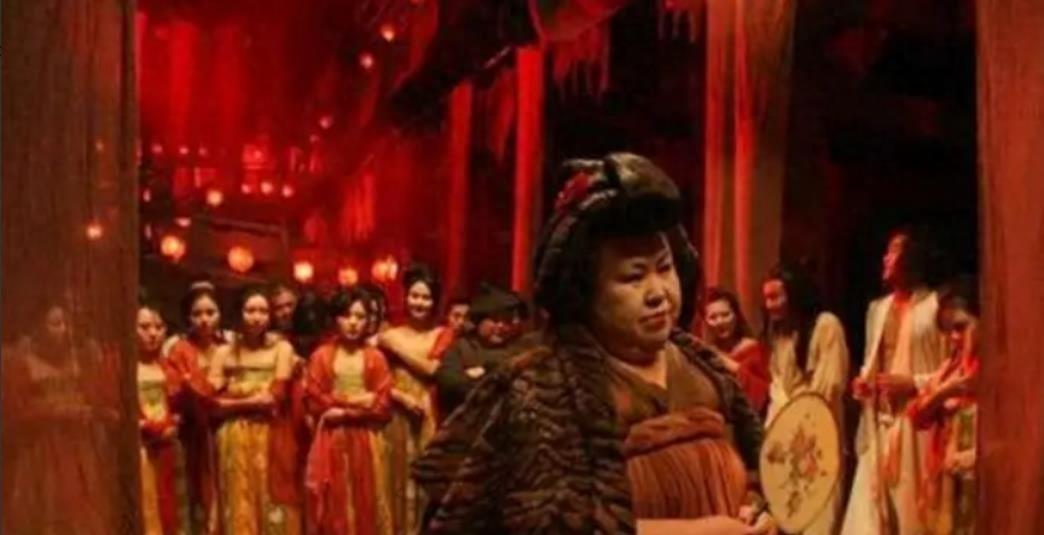 回顾看了鸨鸟怎么繁衍才知道古代青楼的老板娘为何叫老鸨