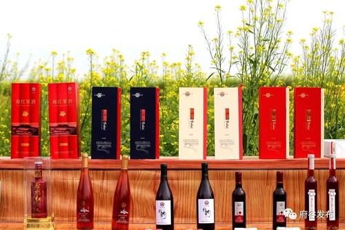 好消息!府谷海红果成功入选全国乡村特色产品