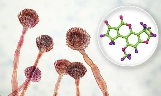 木筷跟不锈钢筷哪种才适合家用看完才醒悟别再用错了