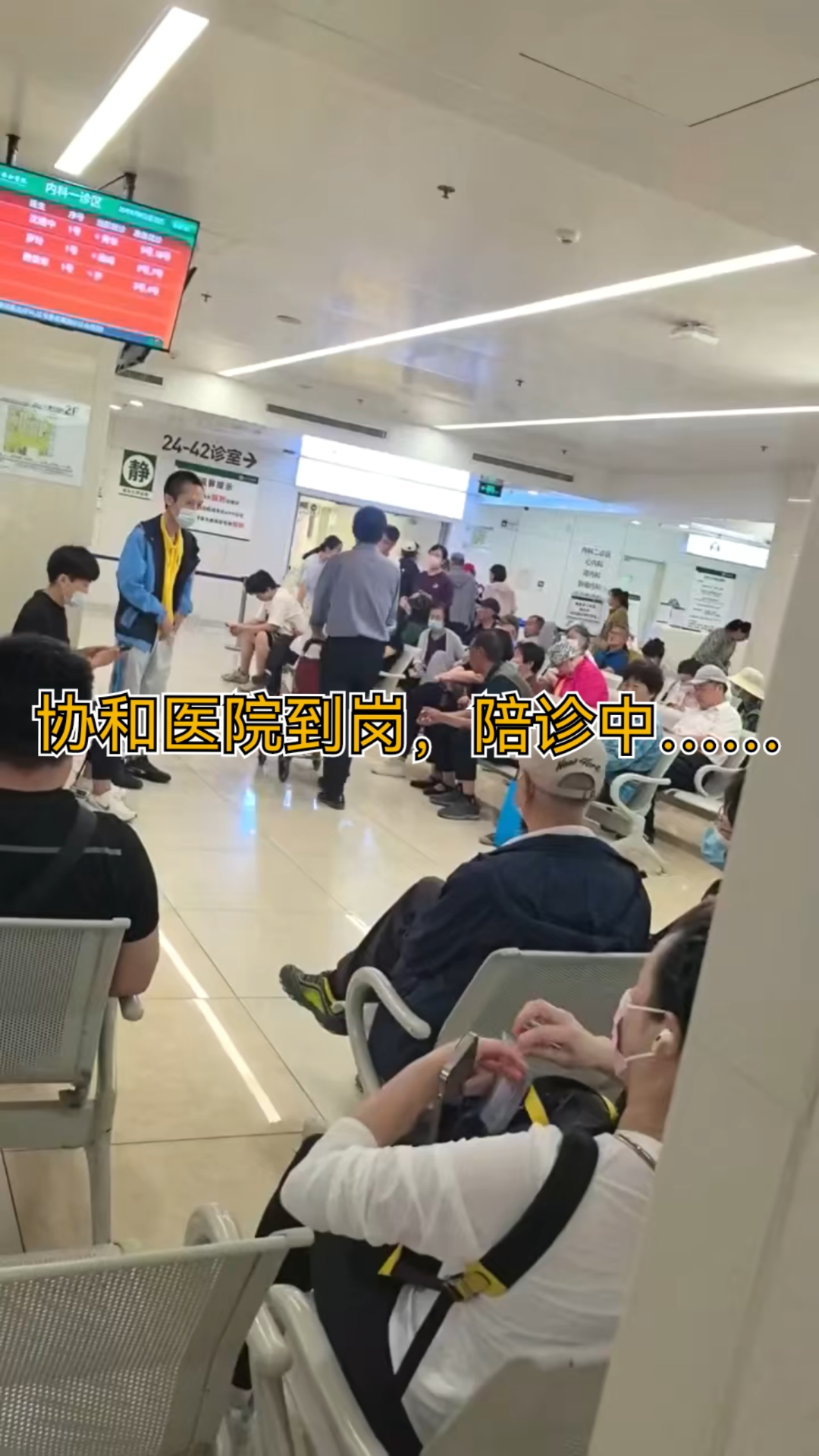 协和医院全天陪诊含挂号突发状况第一时间响应，不耽误病情的简单介绍